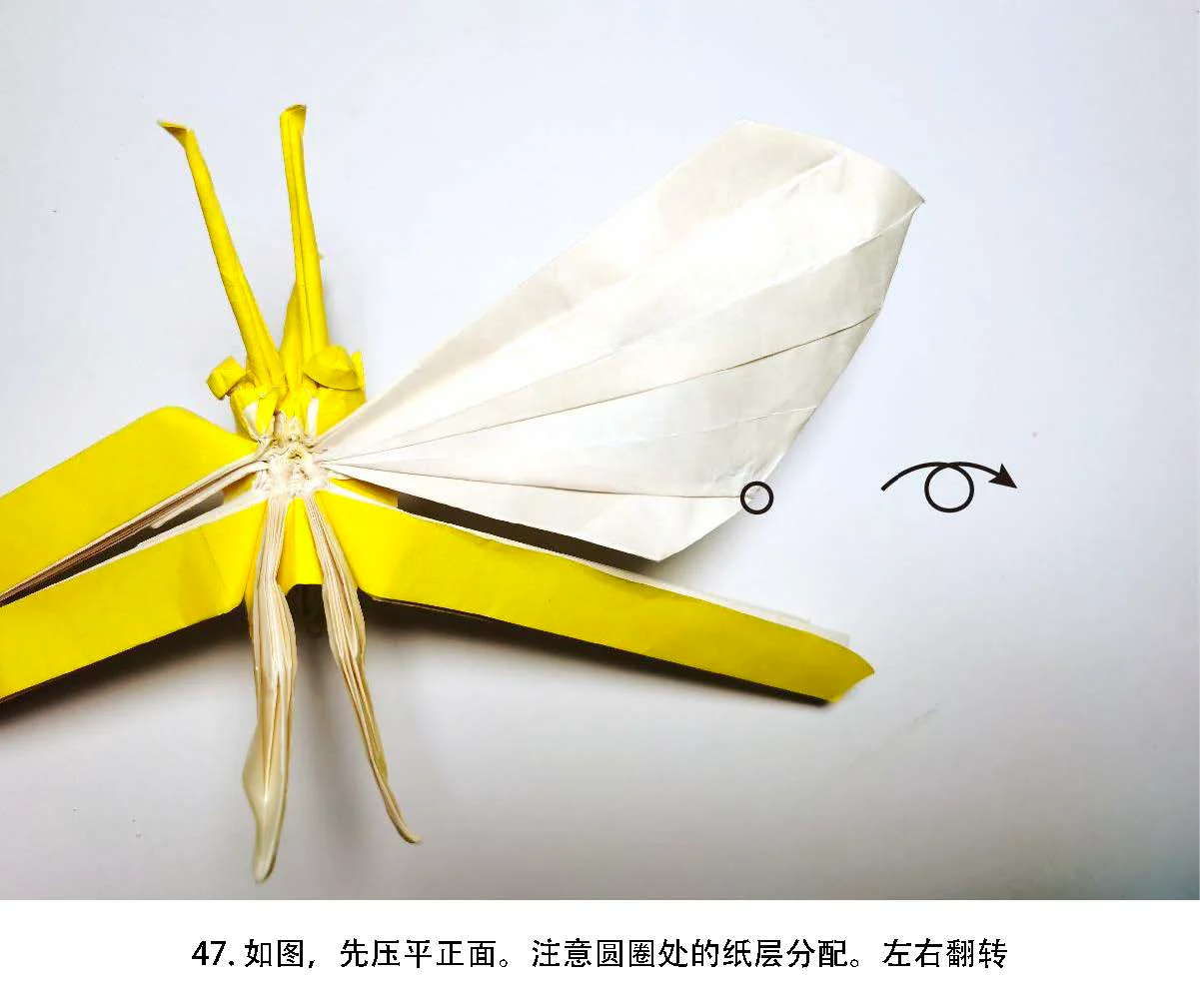 Butterfly by Tony Wang , Photodiagrams step by step. 140+steps - Image 6